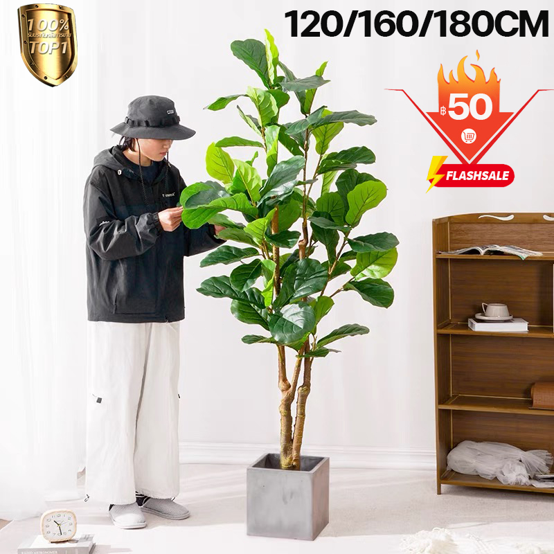 【อัตราการซื้อคืน 99.9%】ต้นไม้ปลอม-ประดิษฐ์ ต้นไม้ปลอมใหญ่ สูง120/150/180ซม ไม่มีกลิ่นแปลกๆ ตกแต่งบ้าน