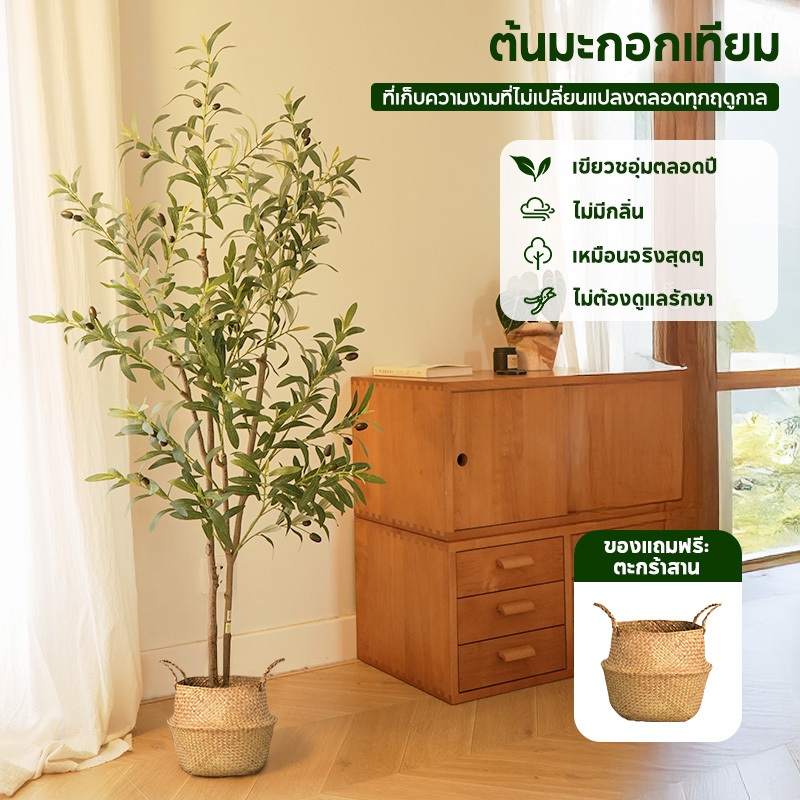 MODOFO🌴ความจำลอง 99.9%🌴120/150/180cm ต้นไม้ปลอม ต้นโอลีฟ ต้นมะกอกปลอม สไตล์นอร์ดิกอิน ไม่ต้องบำรุงรักษา