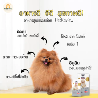 อาหารสุนัขเม็ดรสหมู 10 Kg (เม็ดเล็ก) สูตรลดกลิ่นอึและลดขนร่วง อายุ 1 ปีขึ้นไป