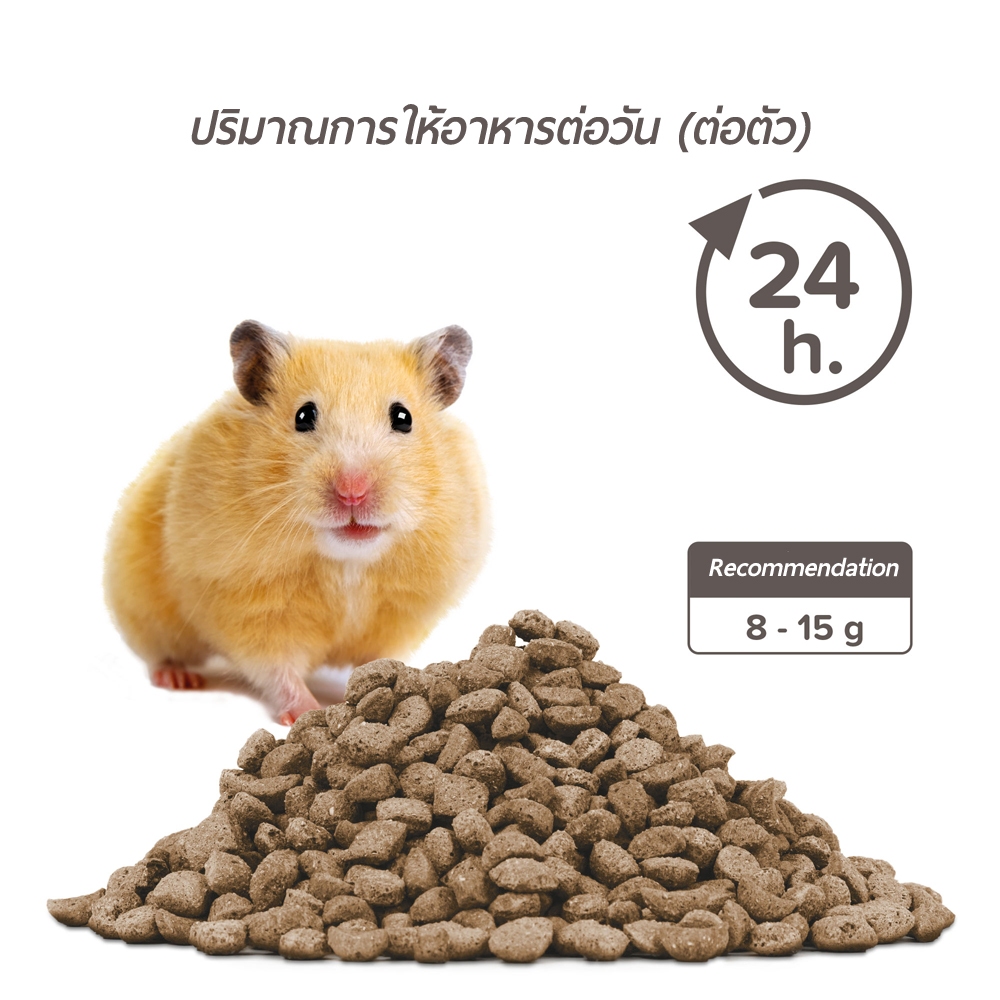 PROMO 1 แถม 1 Beaphar Care+ Hamster 700 g.+250 g. อาหารหนูแฮมสเตอร์ เกรดซุปเปอร์พรีเมี่ยม - รูปที่ 2