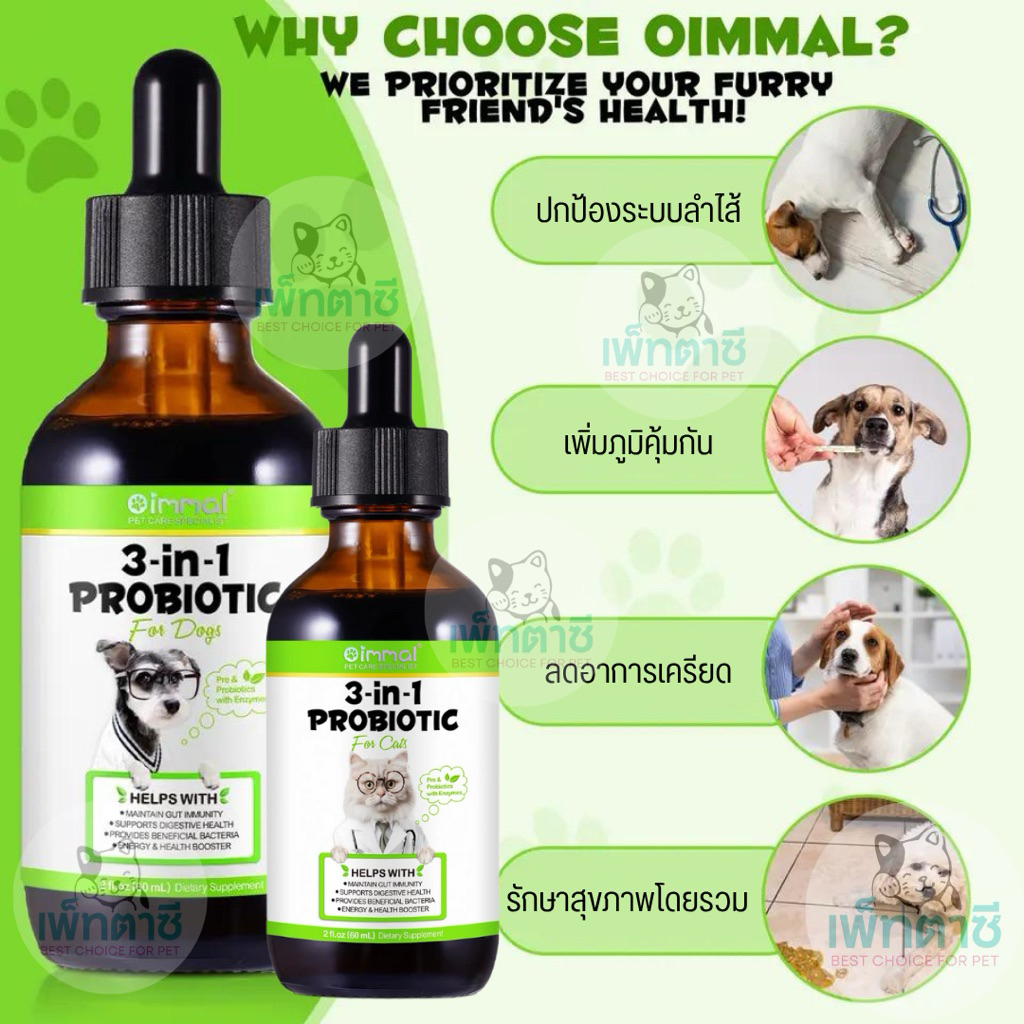 รูปภาพ 7