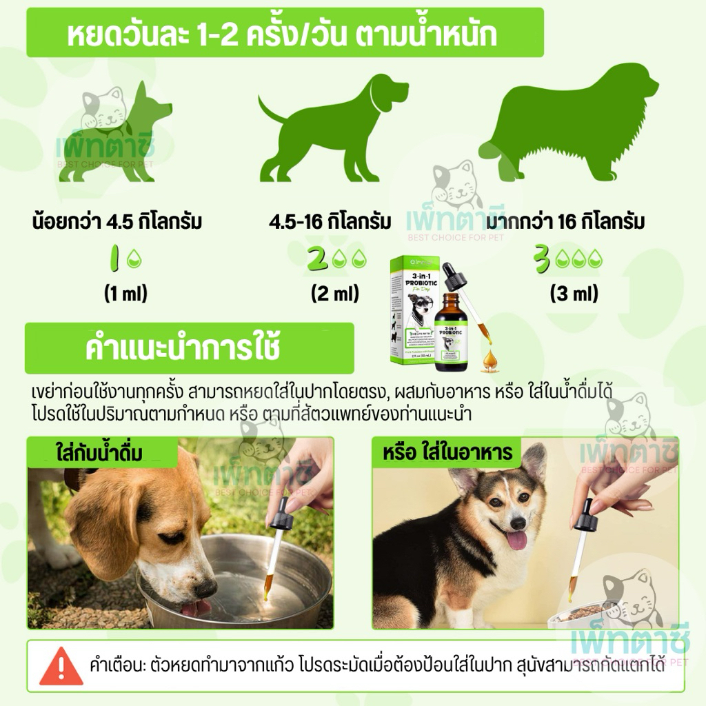 รูปภาพ 8