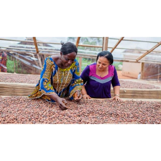 ANNIE - Cote D'Ivoire (Cocoa 100%) Fat 25%