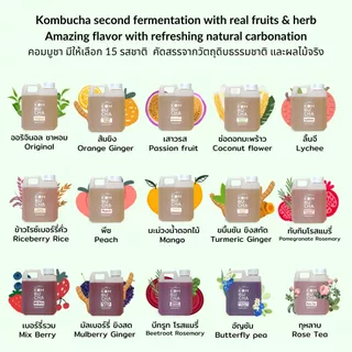 Kombucha ชาหมัก คอมบูชา พร้อมดื่ม 1 ลิตร ดื่มได้ทุกๆวัน