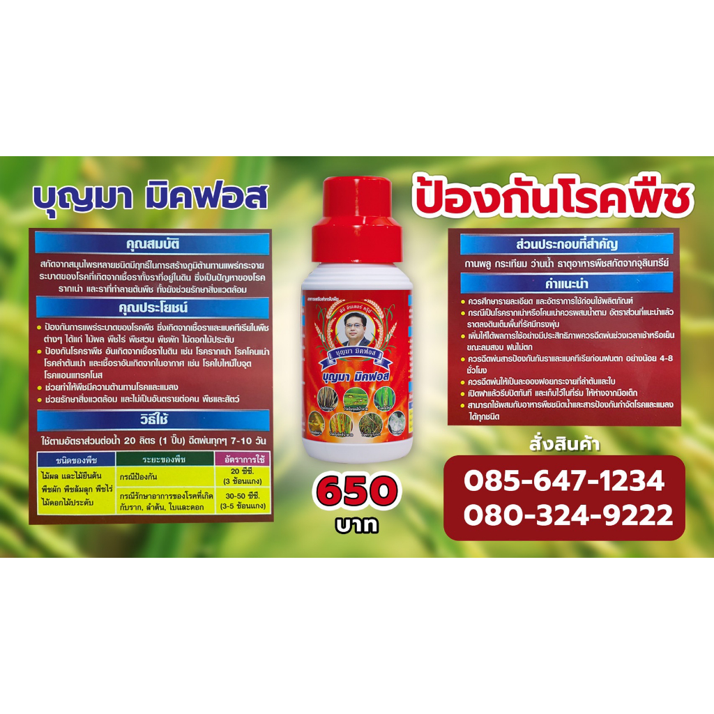 บุญมามิคฟอส อาหารเสริมสำหรับพืช