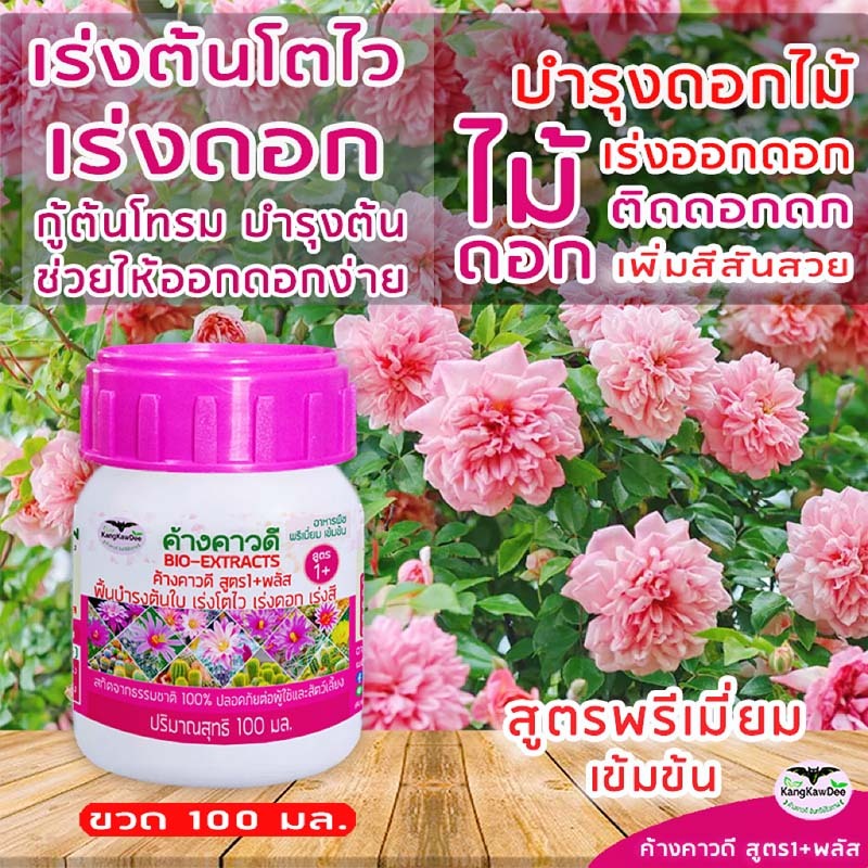 ปุ๋ยกุหลาบ ปุ๋ยไม้ดอกทุกชนิด ค้างคาวดีสูตร1+พลัส(100ML) เร่งดอก ดอกดก กล้วยไม้ ชวนชม มะลิ F1P-100ML