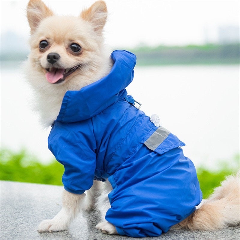 Pookpik เสื้อกันฝนสำหรับสุนัขขนาดเล็กและแมว สินค้าพร้อมส่งจากไทย