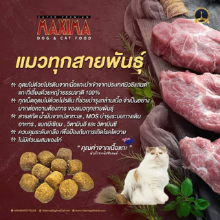 ‼️ส่งด่วน24ชม.‼️Maxima 5kg (ถุงย่อย1kgx5ถุง) แมกซีม่า อาหารแมวแบบเม็ดสูตรเนื้อแกะ