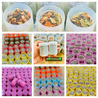 ของชำร่วน ขอบที่ระลึก(แพ็ค 50 ชิ้น) กระปุกยาดมพร้อมเนื้อสมุนไพร พร้อมออกแบบฉลากฟรีสจ