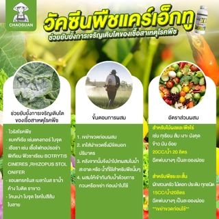 แก้ยางตายนึ่ง ราเส้นดำ เปลือกเน่า รากเน่า โคนเน่า! หยุดโรคร้ายในต้นยาง ครบ จบ ในขวดเดียว! KARE-X2 แคร์เอ็กซ์ทู