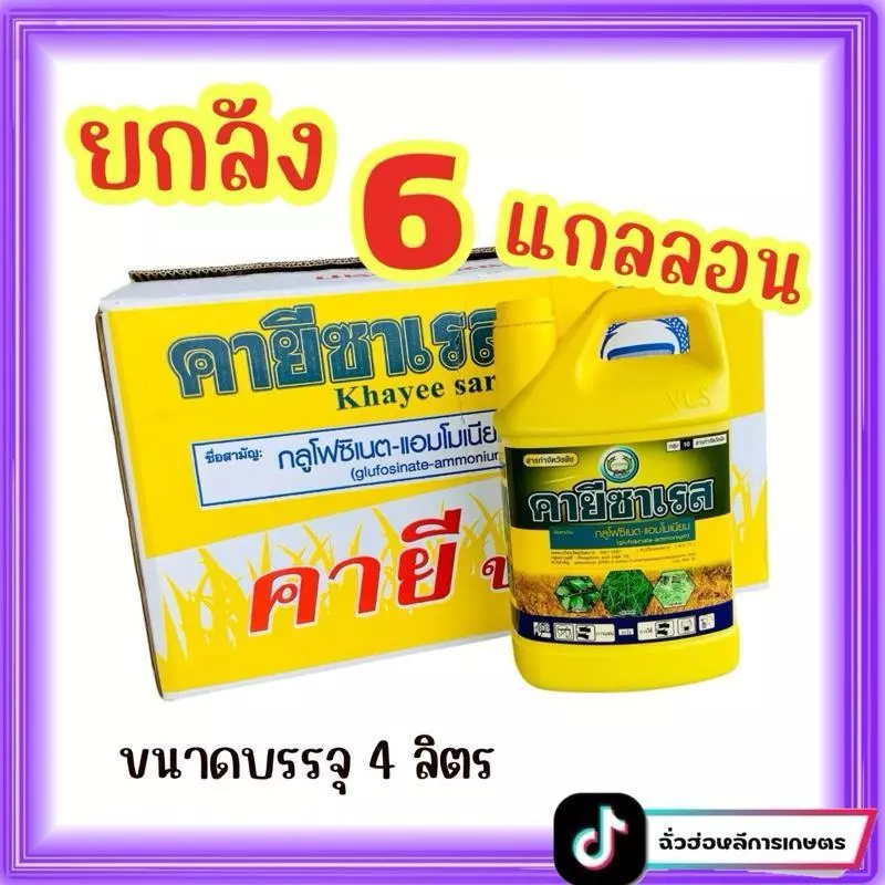 คายีซาเรส *แกลอนสีเหลือง*  **ยกลัง 6 แกลลอน**  (กลูโฟซิเนต-แอมโมเนียม) thumbnail 4