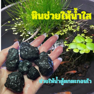 🥇☘️หินภูเขาไฟดำ​ ช่วย​ น้ำใส🏕️🐟ช่วยดูดกลิ่นตู้ปลา​ ดูดขี้ตะไคร่​