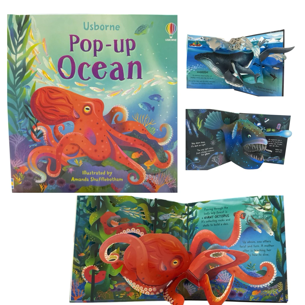Pop-Up book บอร์ดบุ๊ค หนังสืออ่านภาษาอังกฤษสำหรับเด็ก ภาพเด้ง นิทานอ่านก่อนนอน นิทานภาพ 3 มิติ 3D