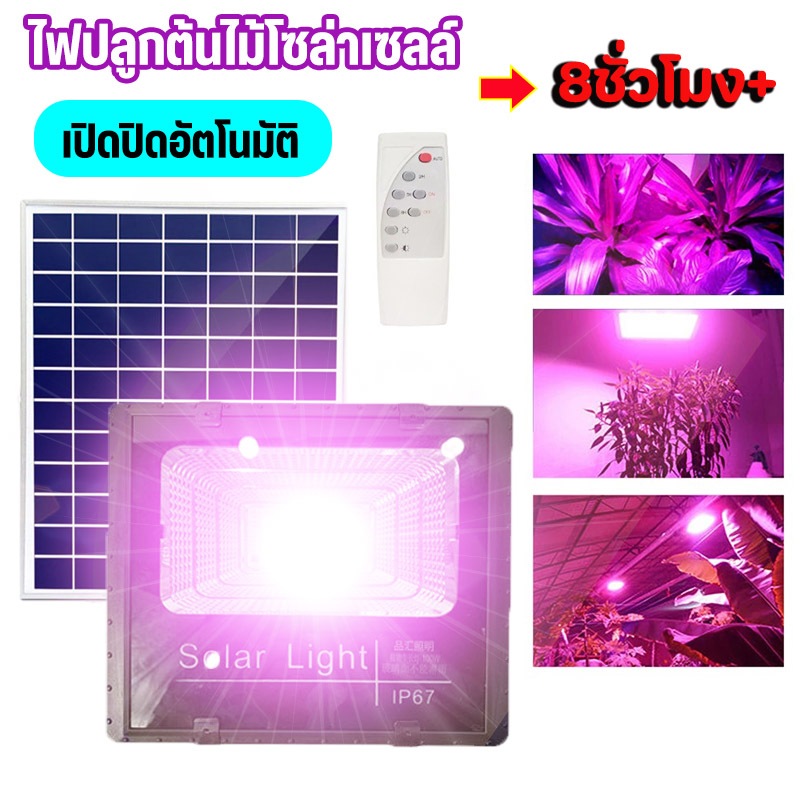 ไฟปลูกต้นไม้โซล่าเซลล์60W led grow light ไฟต้นไม้ช่วยกระตุ้นการเติมโตต้นไม้ เติมแสงเติมสีสันให้ต้นไม้ ไฟปลูผักพืช