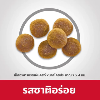 [กระสอบ] Hill's ฮิลส์ อาหารแมว สูตร Science Diet Adult 1-6 สำหรับ แมวโต บำรุงขน คุมแร่ธาตุ รสไก่ อายุ 1-6 ปี ขนาด 10 kg
