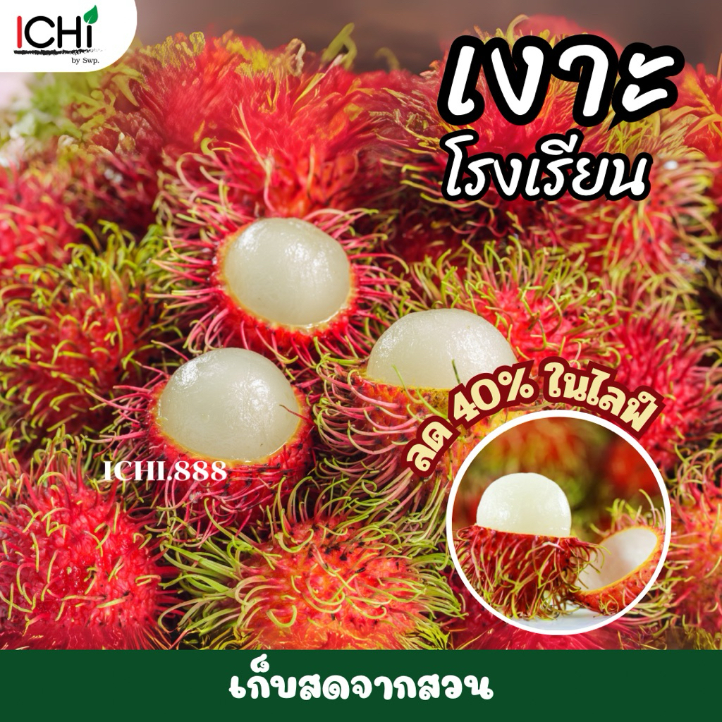 🍒 เงาะโรงเรียน สดจากสวน 🍒 | หวาน กรอบ สดชื่น | คัดพิเศษ