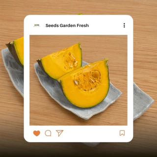 เมล็ดพันธุ์ฟักทองญี่ปุ่น บรรจุ 150 เมล็ด/ซอง [Seeds Garden Fresh]