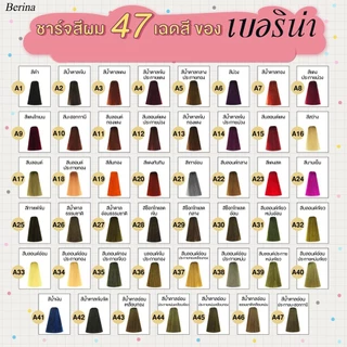 Berina Hair Color ครีมย้อมผม เบอรีน่า สีย้อมผม สีผมเบอริน่า 47เฉดสี