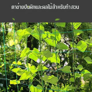 ตาข่ายปลูกผัก ตาข่ายไม้เลื้อย ค้างแตง ค้างผัก อวนปลูกผัก ตาข่ายสี่มุม สำหรับพืชผักเถา