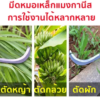 YOOKIE【แถมถุงมือ】มีดขอ เคียวเหล็กแมงกานีส เคียวเกี่ยวหญ้า เคียวเกี่ยวข้าว มีดถางหญ้า คียวตัดกิ่งไม้ ใช้สำหรับถ่างป่า