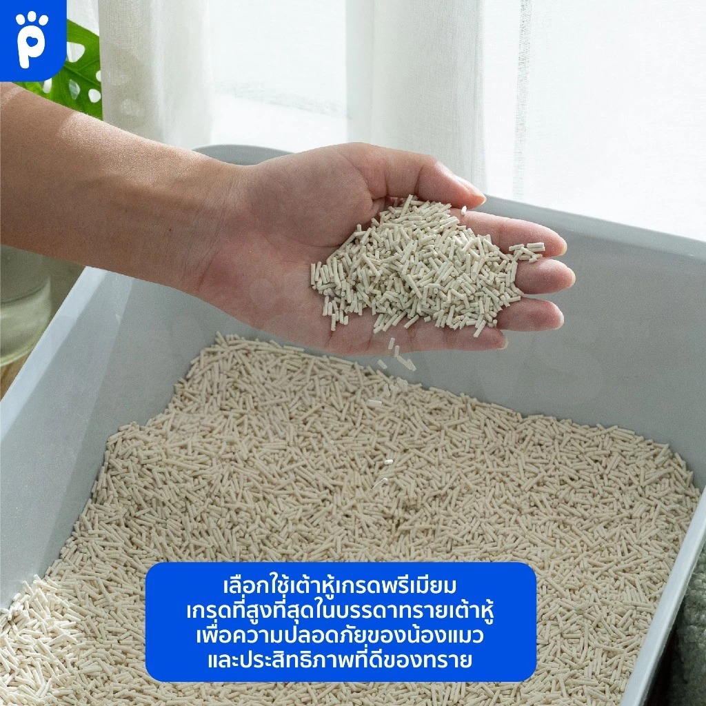 My Paws Natural Tofu Cat litter - มาย พอว์ ทรายแมวเต้าหู้ จากธรรมชาติ (24L) - รูปที่ 3