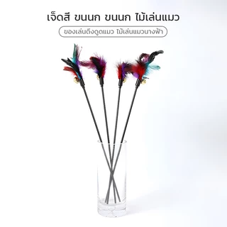 [🚚พร้อมส่ง]ไม้ล่อแมว ของเล่นแมว ไม้ตกแมว แบบโค้ง ปลายขนไก่ ขนนกหลายสี มีกระดิ่ง ไม้ตกแมวแบบสปริง