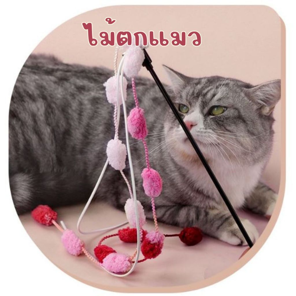 ไม้ตกแมวราคาประหยัด ไม้ตกแมว Teaser Wand ไม้ล่อแมว ของเล่นแมว