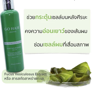 🌿Go Hair โกแฮร์ ซิลกี้ สาหร่าย (ขวดเขียว) silky seaweeds อาหารผม สำหรับผมแห้งเสีย ป้องกันความร้อน ผมสวย มีน้ำหนัก