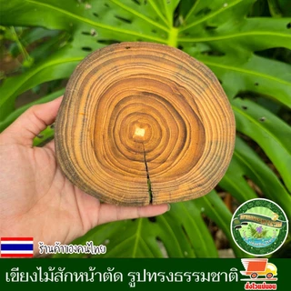ไม้สักหน้าตัด กลม รูปทรงธรรมชาติ อาจมีรอยแตกตามธรรมชาติแต่ไม่แยกจากกัน เขียงไม้ เขียง ไม้สักแท้ คละไชส์ 13-16ชม.หนา2ซม.