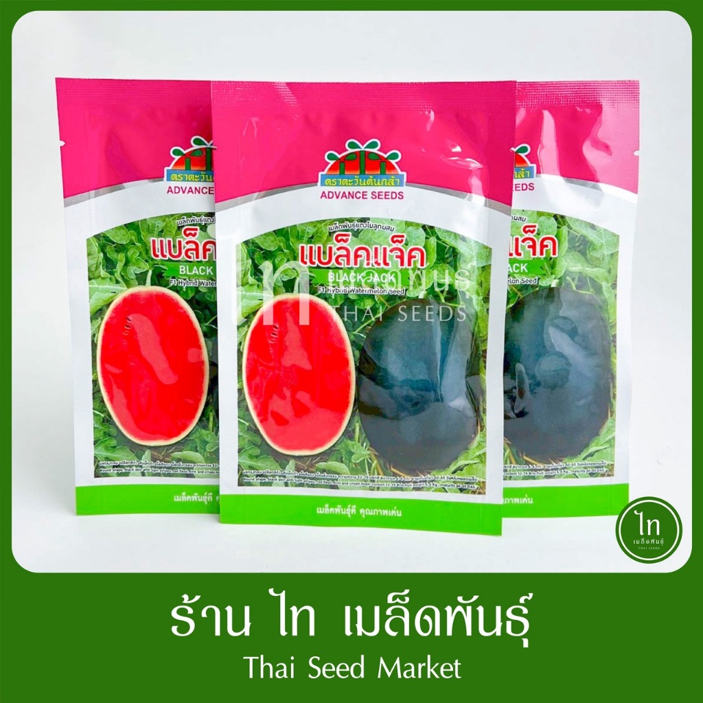 แตงโม แบล็คแจ็ค เมล็ดพันธุ์ แตงโม ลูกผสม ตรา ตะวันต้นกล้าต๋ บรรจุ 40 กรัม ราคา ถูกที่สุด ดีลบีเคเค แกลเลอรีภาพที่ 2