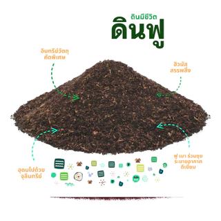 ดินฟู ~ ดินมีชีวิต | ฟื้นฟูต้นป่วย ป้องกันโรคแมลง อุดมไปด้วยจุลินทรีย์ ธาตุอาหารสูง ดินปลูกพรีเมี่ยม