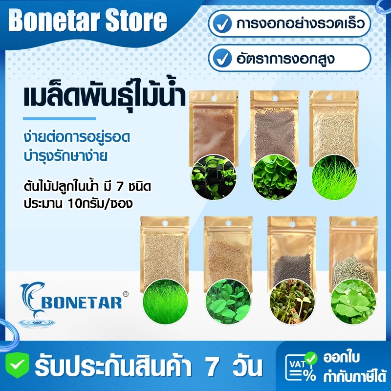 เมล็ดไม้น้ำ 7 ชนิด 10g/ซอง ปลูกง่ายโตไว 15-30วัน สำหรับตู้ปลา-อ่างบัว