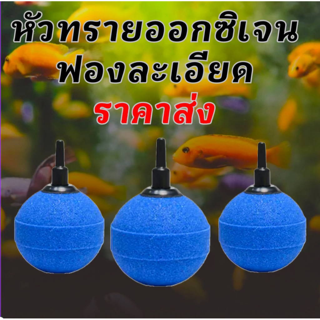 หัวทรายอกซิเจนฟองละเอียด 10,20,30,40,50 หัวทราย ตู้ปลา อุปกรณ์สำหรับเลี้ยงปลา ออกซิเจนตู้ปลา สายออกซิเจน หัวจ่ายอากาศ