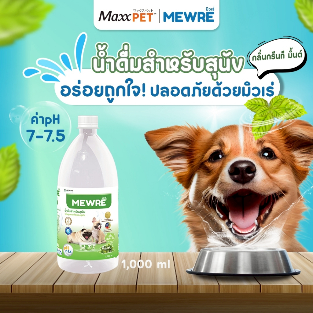 Maxxpet นํ้าดื่มสําหรับสุนัข มีให้เลือก 2 สูตร น้ำดื่มเพื่อสุขภาพสัตว์เลี้ยง สำหรับคนรักสัตว์