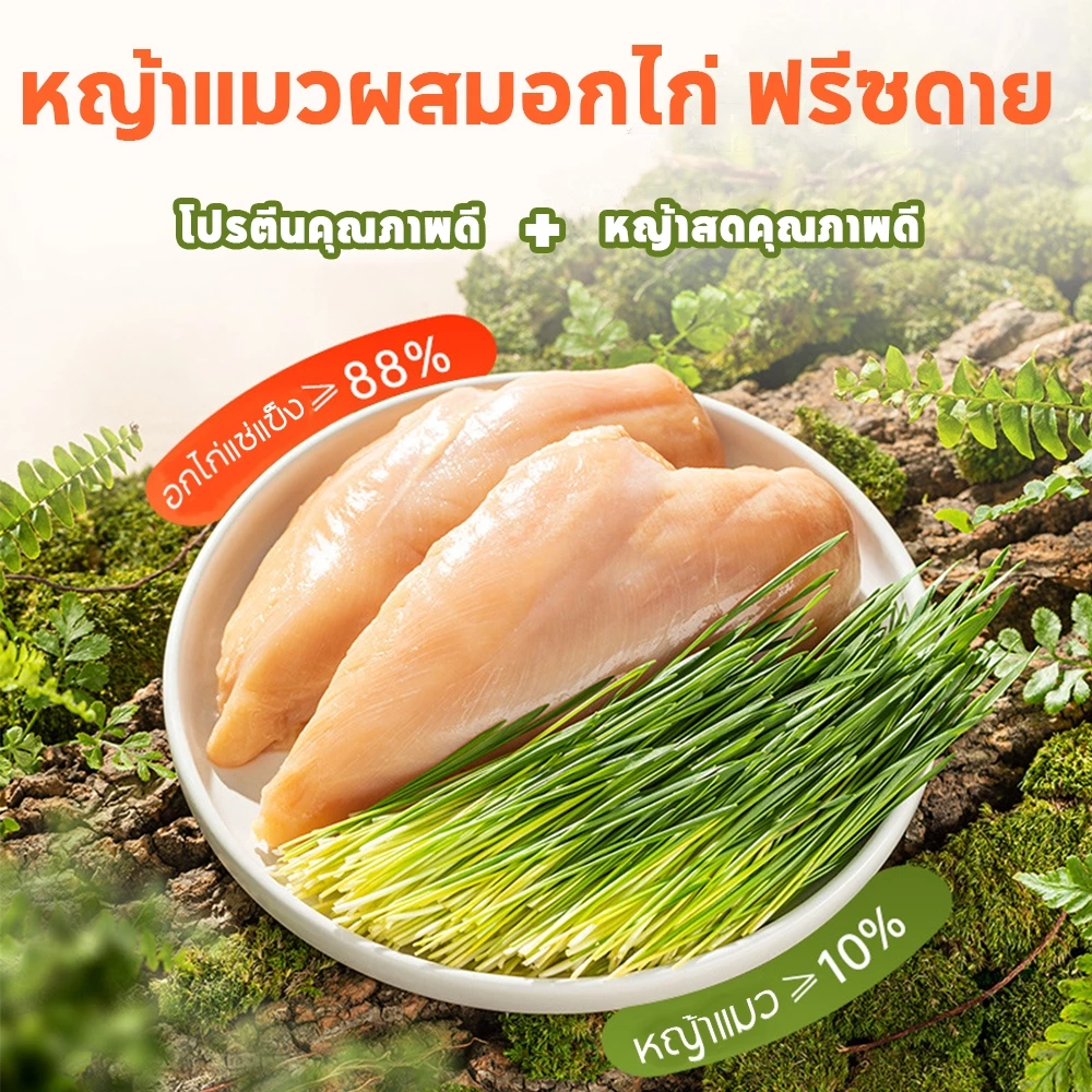 ขนมแมว หญ้าแมวฟรีซดราย 100g ช่วยขับขน thumbnail 5