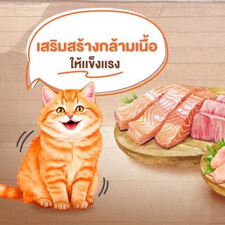 【7kg】Cat N Joy อาหารแมว กลิ่นหอมเย้ายวน รสชาติแสนอร่อย จากเครือเบทาโกร เน้นการดูดซึมที่ดี ทานง่าย