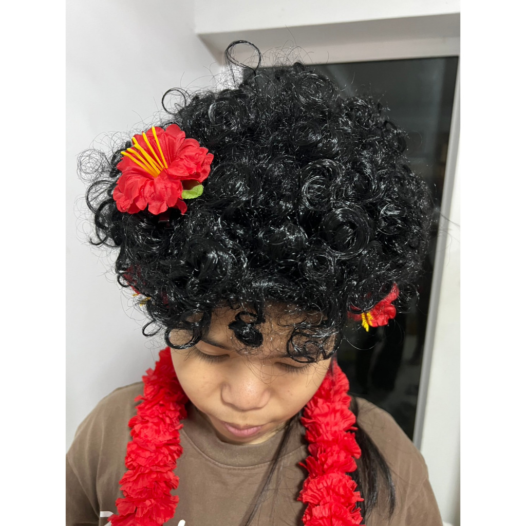 (ส่งจากกทม.) วิกผมแฟนซีแอโฟร วิกผมดำหยิก+ ฟรีชบาสีแดง วิกผมทำคอนเทนต์ วิกผมเงาะป่าทรงดิสโก้สุดชิค หนา ฟู สะใจ ! สีดำ