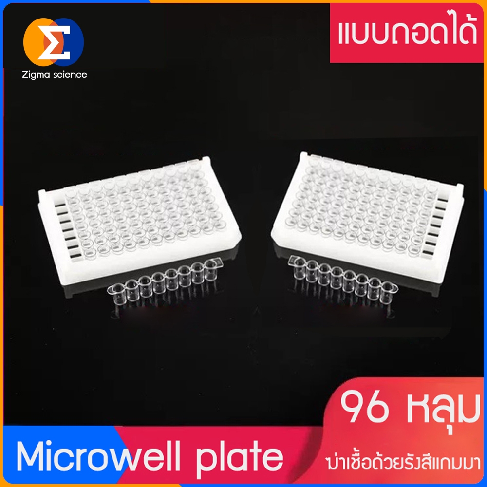 Zigma science - Micro plate, Detachable ELISA Plate, ไมโครเพลท, ไมโครไทเทอร์เพลท 96 หลุม Strip ถอดได