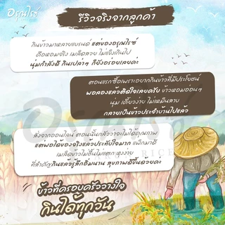 [ อรุณไรซ์ ] ข้าวแดงมันปู หอมนุ่ม หุงขึ้นหม้อ อร่อยสุดๆ ขนาด 250/500/1000 กรัม