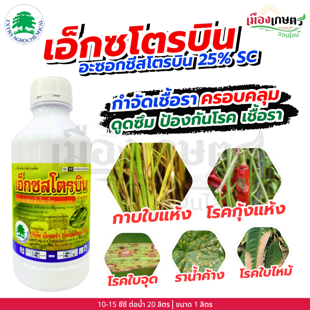 เอ็กซโตรบิน อะซอกซีสโตรบิน 25% SC ขนาด 1 ลิตร ชนิดดูดซึม โรคพืช เชื้อรา แบคทีเรีย ใบเน่า รากเน่า โคนเน่า ใบไหม้ ใบจุด