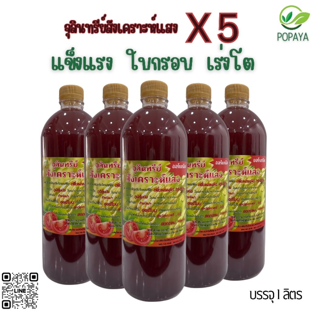 จุลินทรีย์สังเคราะห์แสง 1ลิตร ×5ขวด สุดคุ้ม เข้มข้น ออร์แกนิก