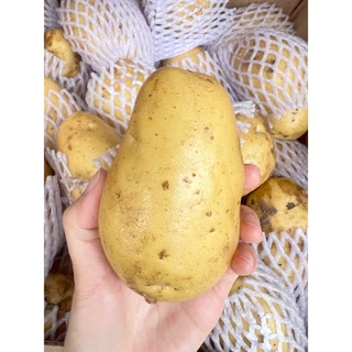 🥔 มันฝรั่งสด มันฝรั่งนอก ลูกใหญ่ ยกกล่อง9.5-10กิโลกรัม 🥔