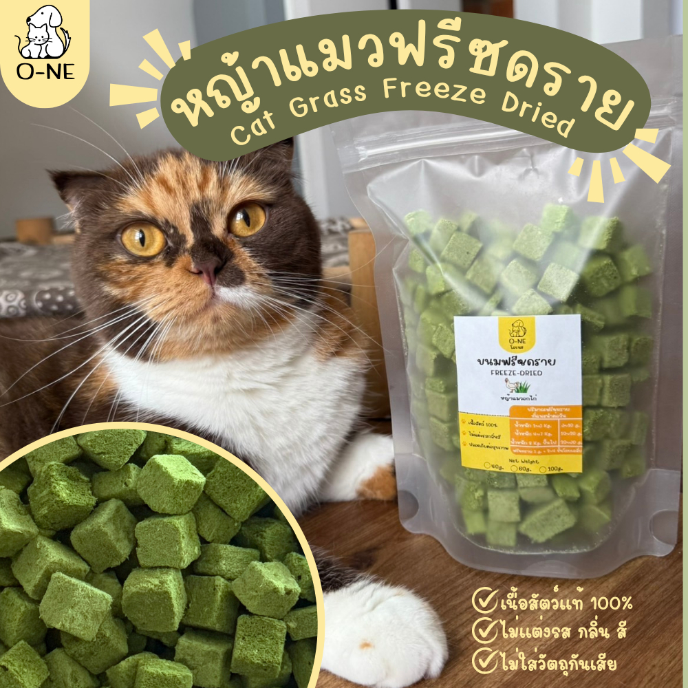 ฟรีซดรายหญ้าแมว ขนมฟรีซดรายสำหรับน้องแมว