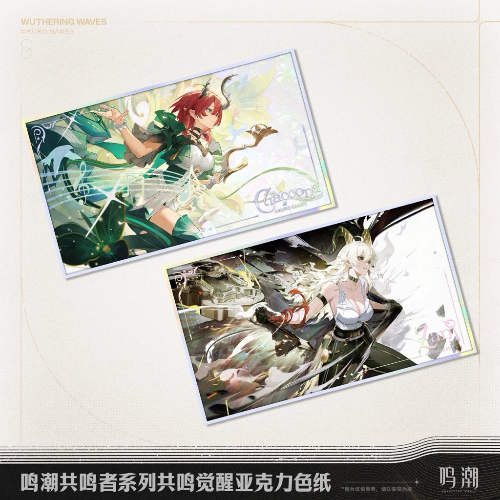 [พร้อมส่ง] Official แท้ 24.5cm Zani/Ciaccona Wuthering waves Kuro game Wuwa