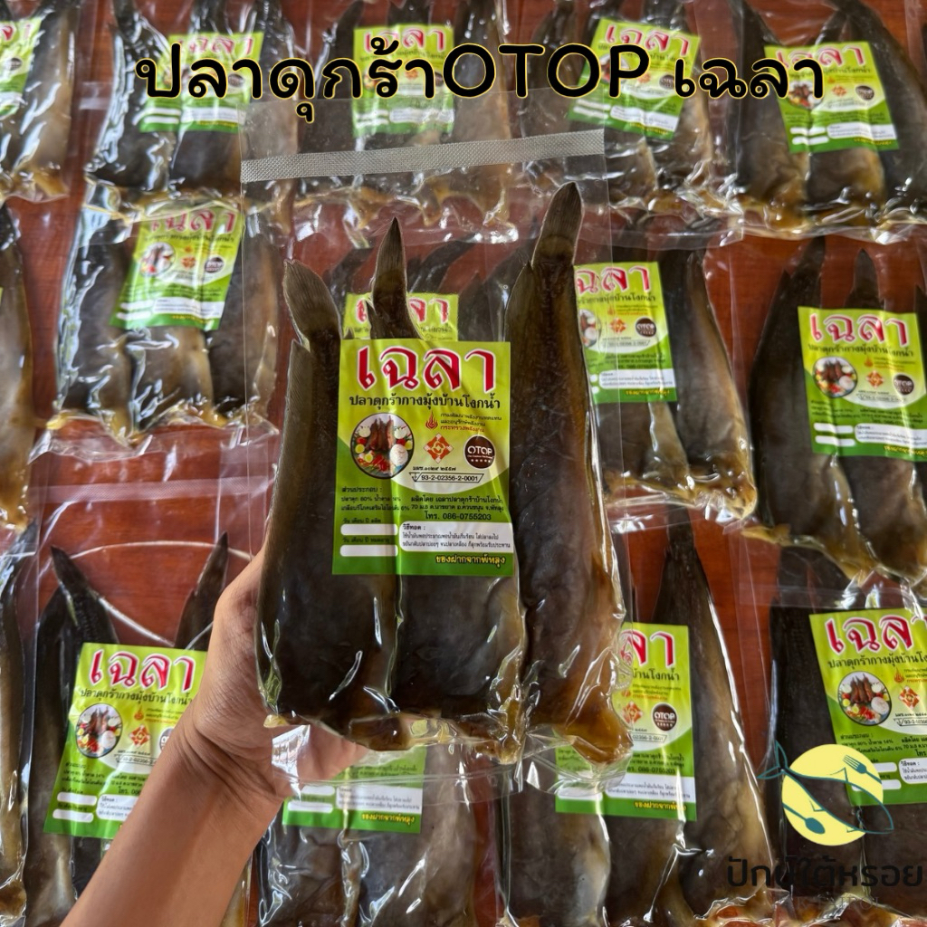 ปลาดุกร้าOTOP ปลาดุกร้าเฉลา ปลาดุกร้ากางมุ้ง บ้านโงกน้ำ