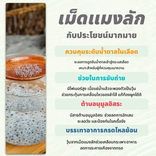 เมล็ดแมงลักดิบ 100 กรัม ตราเสือบิน | Basil Seeds