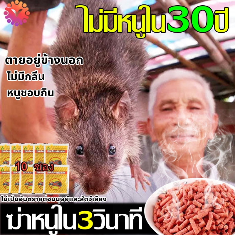 🐭ยาเบื่อหนู ของแท้🐭100% ตายแห้ง ไม่เหม็น ยากำจัดหนู เหยื่อกำจัดหนู ไล่หนู ยาเบื่อหนูแห้ง ใช้ครั้งเดียว ไม่มีหนูทั้งปี
