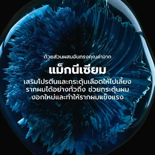 L'Oreal Professionnel Serioxyl Advanced Shampoo แชมพูบูสวอลลุ่มผมยาวนาน 24 ชั่วโมง 500ml