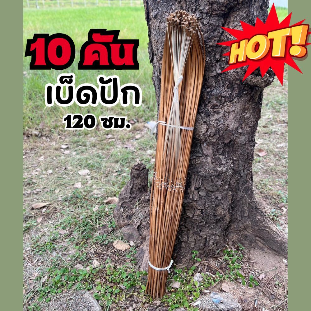 เบ็ดปักไม้ไผ่ 120 ซม. 10 คัน