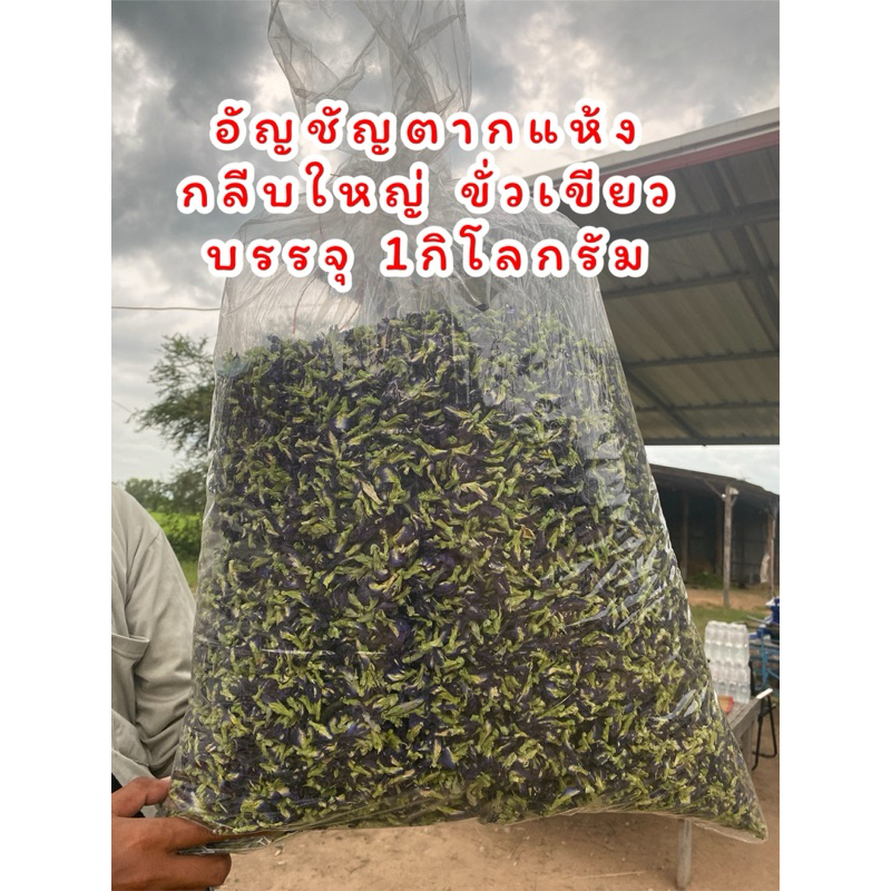 ดอกอัญชัญแห้ง 1000กรัม แห้งฟูดี ได้เยอะ กลีบดอกใหญ่ ขั้วเขียว